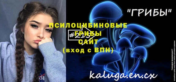 а пвп мука Аркадак