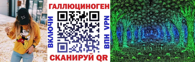 дарнет шоп  Хадыженск  Псилоцибиновые грибы MAGIC MUSHROOMS 